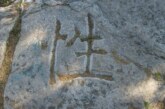 В Китае археологи нашли домашнее задание школьника возрастом 1300 лет