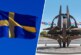 «Ошибка исторического масштаба»: чем может быть чревато вступление Швеции в НАТО — РТ на русском
