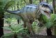 Палеонтологи впервые обнаружили эквивалент пупка у динозавра