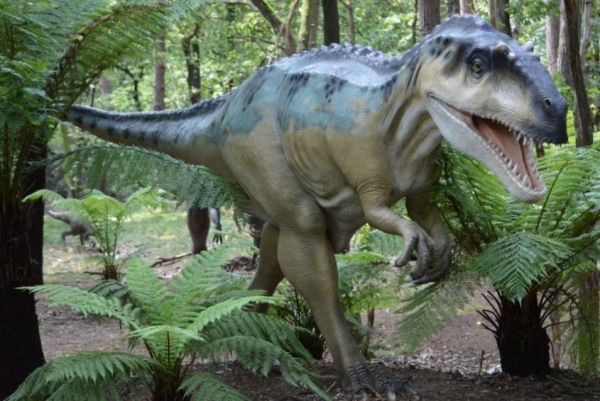 Палеонтологи впервые обнаружили эквивалент пупка у динозавра