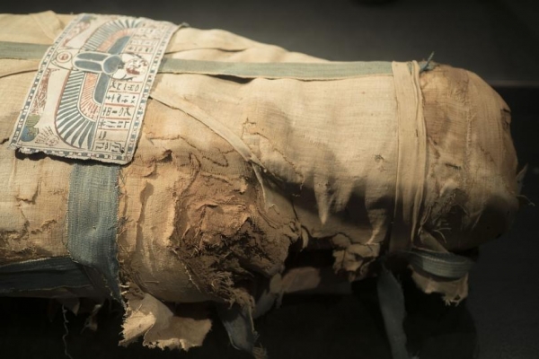 В Великобритании на чердаке дома найдена голова древнеегипетской мумии