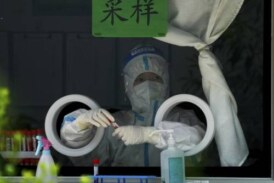 Названы симптомы обнаруженного в Китае нового смертельно опасного генипавируса