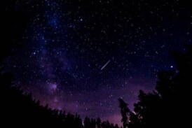 Самая метеорная ночь: астроном объяснил, как лучше наблюдать за Персеидами