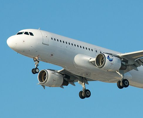 В США самолет совершил экстренную посадку из-за истерики пассажирки