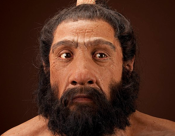 Ученые выяснили, что неандертальцы были хищниками