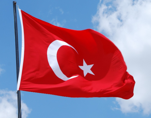 Евглевский счел «восточной хитростью» предложенные Турцией замерзающим европейцам выгодные туры зимой