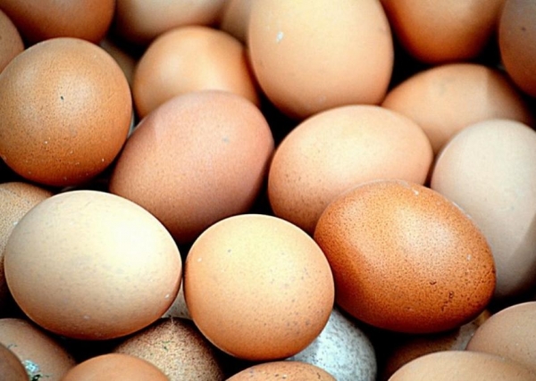 Ученые назвали нужное для похудения количество яиц