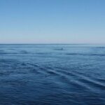 Ученые обнаружили на дне Ладожского озера сейсмические разломы