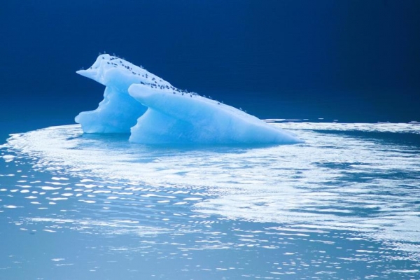 Ученые: С Арктики может начаться следующая серьезная пандемия