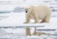 Ученые МГУ предъявили новое доказательство прав России на арктический шельф