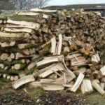 Лукашенко: Белоруссия может помочь Европе дровами для преодоления энергокризиса