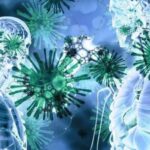 Медики заявили, что коронавирус способен вызвать аномалии в структуре мозга