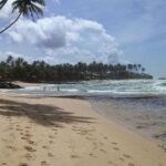 Туриста из РФ нашли мертвым в отеле на Шри-Ланке