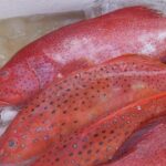 Диетолог Лазуренко назвала неочевидное полезное свойство красной рыбы