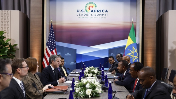 Континентальные интересы: почему США обеспокоены расширением присутствия РФ и КНР в Африке