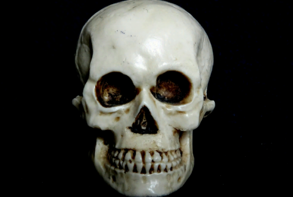 В посылке в аэропорту Мексики обнаружили четыре человеческих черепа