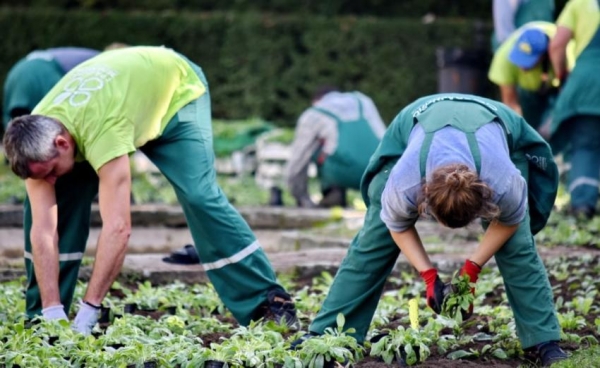 Учёные доказали, что садоводство снижает риск развития рака