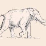 Находка ученых: неандертальцы в Германии охотились на гигантских слонов