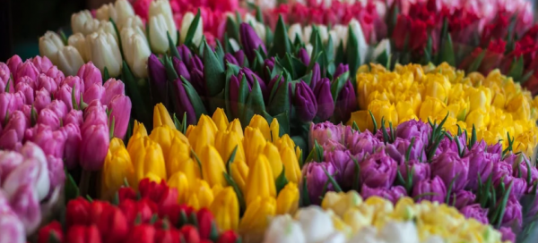 В Москве произошла массовая драка продавцов цветов из-за покупателей