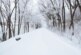Циклон «Лариса» засыпал снегом Великобританию