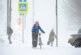 Вильфанд назвал нынешнюю зиму ненормальной — РИА Новости, 16.02.2024