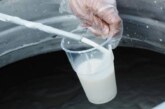 Красноярские производители молока получили поддержку от государства — РИА Новости, 29.03.2024