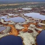 Ученые выявили особенности болот, влияющие на климат